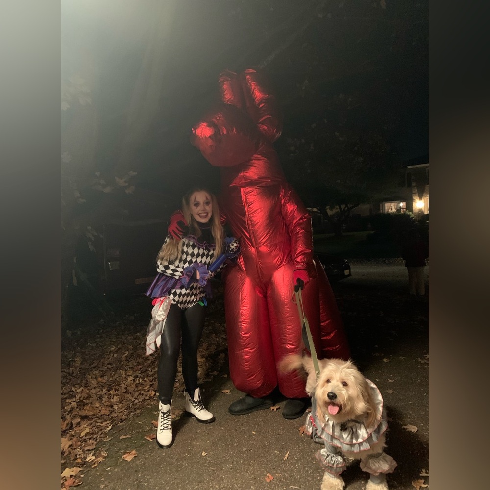 Spirit Red Inflatable Balloon Dog Costume - Picture 8 of 9